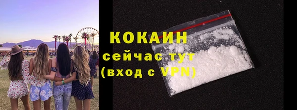 шишки Магадан