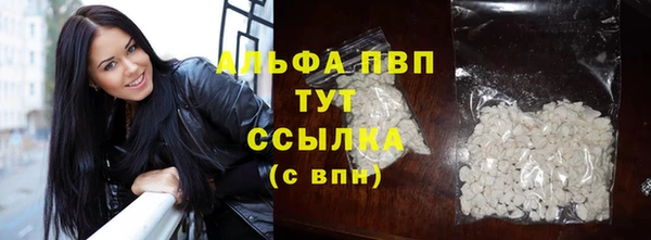 PSILOCYBIN Лабытнанги