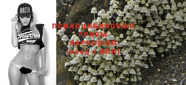 каннабис Магас