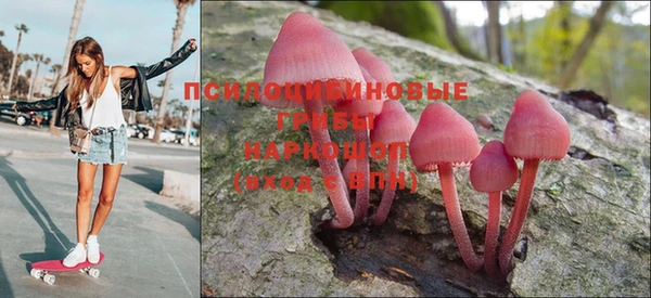 МДПВ Лихославль