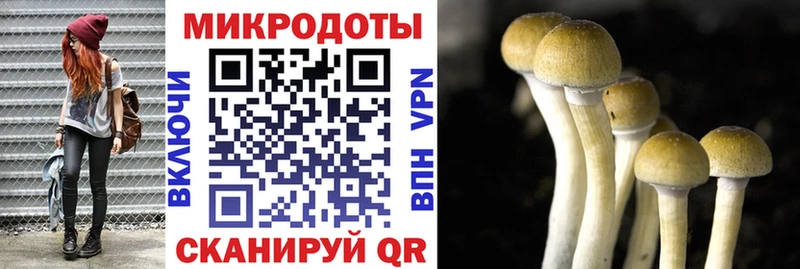 Галлюциногенные грибы GOLDEN TEACHER  Пермь 