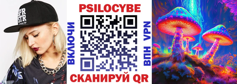 Псилоцибиновые грибы Psilocybe Пермь