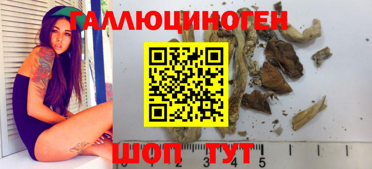Пермь  Псилоцибиновые грибы GOLDEN TEACHER  наркошоп  Вход с VPN 