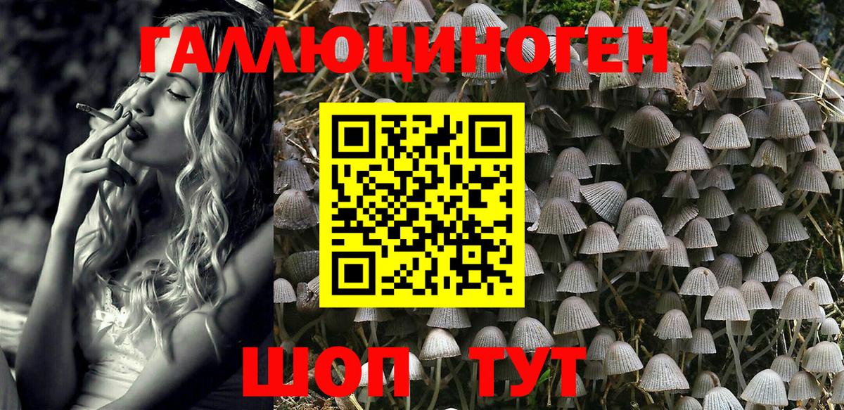 Псилоцибиновые грибы Psilocybe  Пермь 